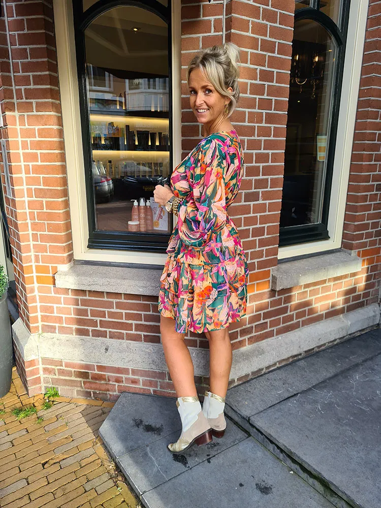 Dress Multicolor